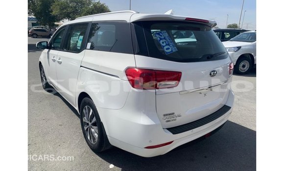 Buy Import Kia Carnival White Car in Import - Dubai in Dushanbe Buy Import Kia Carnival White Car in Import - Dubai in Dushanbe