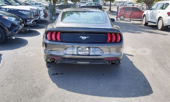 Buy Import Ford Mustang Other Car in Import - Dubai in Dushanbe Buy Import Ford Mustang Other Car in Import - Dubai in Dushanbe