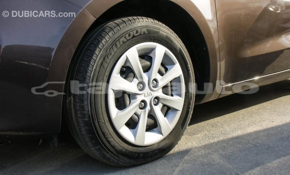 Buy Import Kia Rio Brown Car in Import - Dubai in Dushanbe