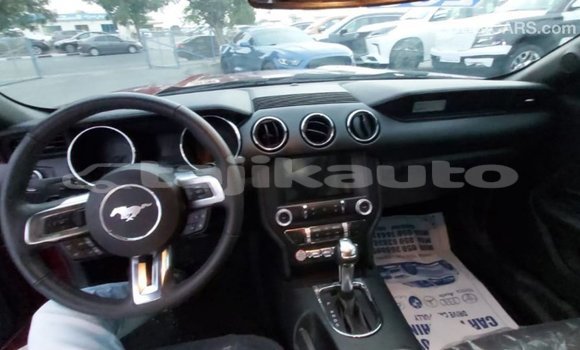 Buy Import Ford Mustang Red Car in Import - Dubai in Dushanbe Buy Import Ford Mustang Red Car in Import - Dubai in Dushanbe