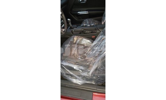 Buy Import Ford Mustang Red Car in Import - Dubai in Dushanbe Buy Import Ford Mustang Red Car in Import - Dubai in Dushanbe