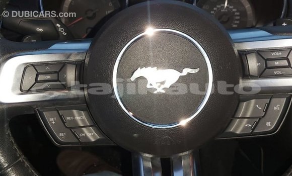 Buy Import Ford Mustang Red Car in Import - Dubai in Dushanbe Buy Import Ford Mustang Red Car in Import - Dubai in Dushanbe