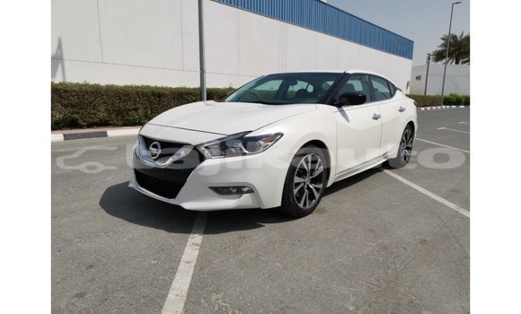 Buy Import Nissan Maxima White Car in Import - Dubai in Dushanbe Buy Import Nissan Maxima White Car in Import - Dubai in Dushanbe