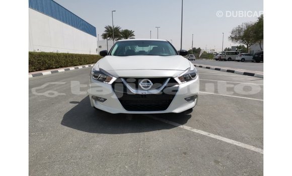 Buy Import Nissan Maxima White Car in Import - Dubai in Dushanbe Buy Import Nissan Maxima White Car in Import - Dubai in Dushanbe