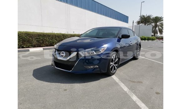 Buy Import Nissan Maxima Blue Car in Import - Dubai in Dushanbe Buy Import Nissan Maxima Blue Car in Import - Dubai in Dushanbe
