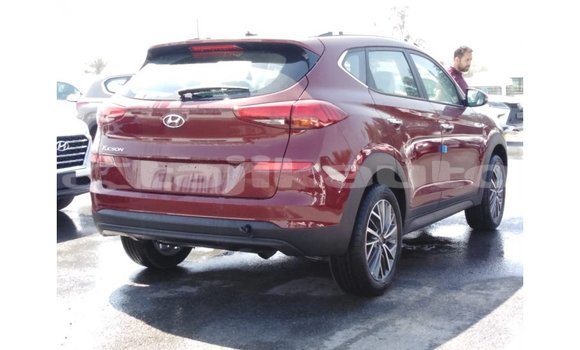 Buy Import Hyundai Tucson Red Car in Import - Dubai in Dushanbe Buy Import Hyundai Tucson Red Car in Import - Dubai in Dushanbe