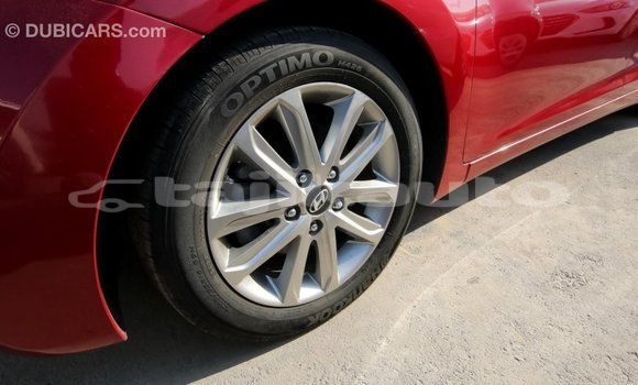 Buy Import Hyundai Elantra Red Car in Import - Dubai in Dushanbe