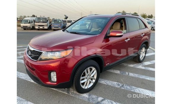 Buy Import Kia Sorento Red Car in Import - Dubai in Dushanbe Buy Import Kia Sorento Red Car in Import - Dubai in Dushanbe