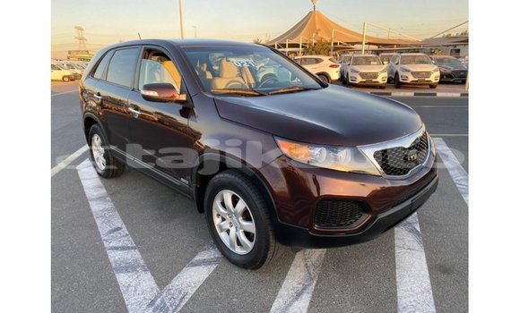 Buy Import Kia Sorento Brown Car in Import - Dubai in Dushanbe Buy Import Kia Sorento Brown Car in Import - Dubai in Dushanbe