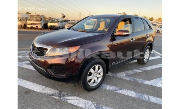Buy Import Kia Sorento Brown Car in Import - Dubai in Dushanbe Buy Import Kia Sorento Brown Car in Import - Dubai in Dushanbe