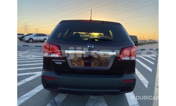 Buy Import Kia Sorento Brown Car in Import - Dubai in Dushanbe Buy Import Kia Sorento Brown Car in Import - Dubai in Dushanbe