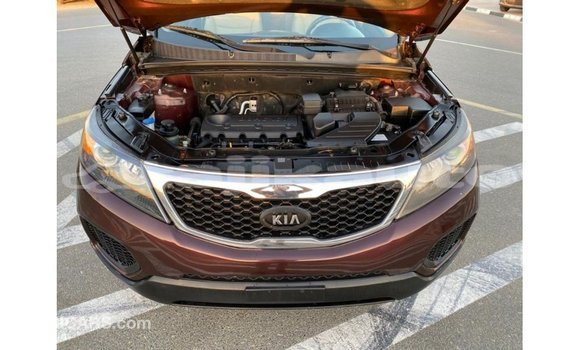 Buy Import Kia Sorento Brown Car in Import - Dubai in Dushanbe Buy Import Kia Sorento Brown Car in Import - Dubai in Dushanbe