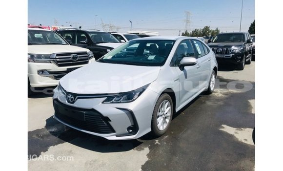 Buy Import Toyota Corolla White Car in Import - Dubai in Dushanbe Buy Import Toyota Corolla White Car in Import - Dubai in Dushanbe