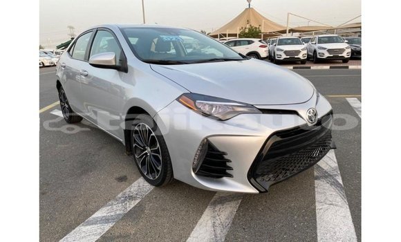 Buy Import Toyota Corolla Other Car in Import - Dubai in Dushanbe Buy Import Toyota Corolla Other Car in Import - Dubai in Dushanbe