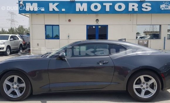 Buy Import Chevrolet Camaro Other Car in Import - Dubai in Dushanbe Buy Import Chevrolet Camaro Other Car in Import - Dubai in Dushanbe