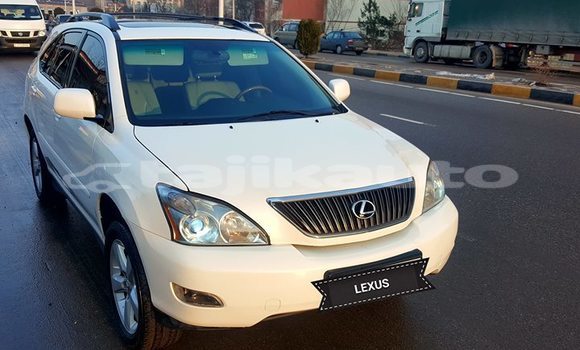 Buy Used Lexus RX 330 White Car in Dushanbe in Dushanbe