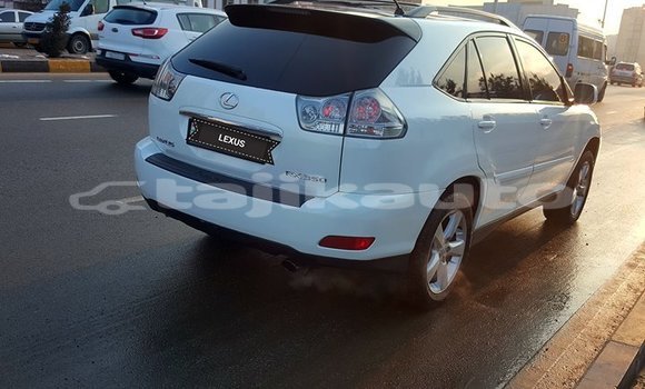 Buy Used Lexus RX 330 White Car in Dushanbe in Dushanbe Buy Used Lexus RX 330 White Car in Dushanbe in Dushanbe