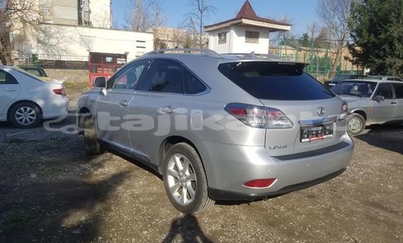 Buy Used Lexus RX 350 Silver Car in Dushanbe in Dushanbe Buy Used Lexus RX 350 Silver Car in Dushanbe in Dushanbe