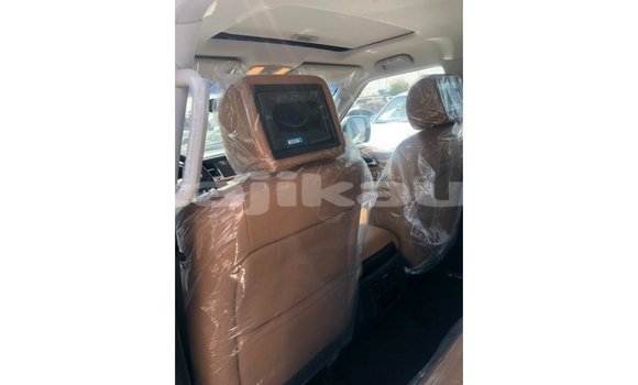 Buy Import Nissan Patrol White Car in Import - Dubai in Dushanbe Buy Import Nissan Patrol White Car in Import - Dubai in Dushanbe