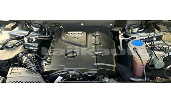 Buy Import Audi 100 Other Car in Import - Dubai in Dushanbe Buy Import Audi 100 Other Car in Import - Dubai in Dushanbe
