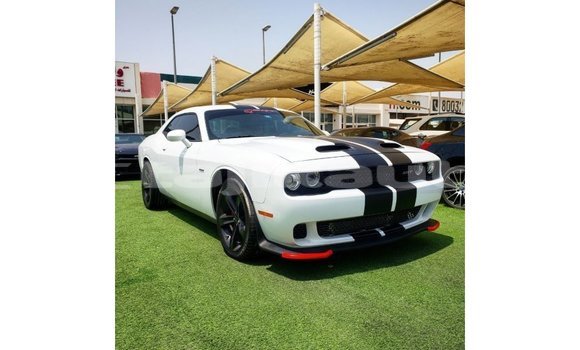 Buy Import Dodge Challenger White Car in Import - Dubai in Dushanbe
