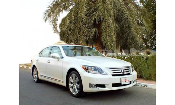 Buy Import Lexus LS White Car in Import - Dubai in Dushanbe