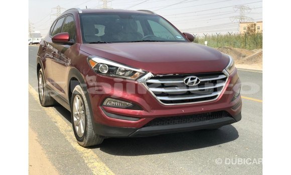 Buy Import Hyundai Tucson Red Car in Import - Dubai in Dushanbe Buy Import Hyundai Tucson Red Car in Import - Dubai in Dushanbe
