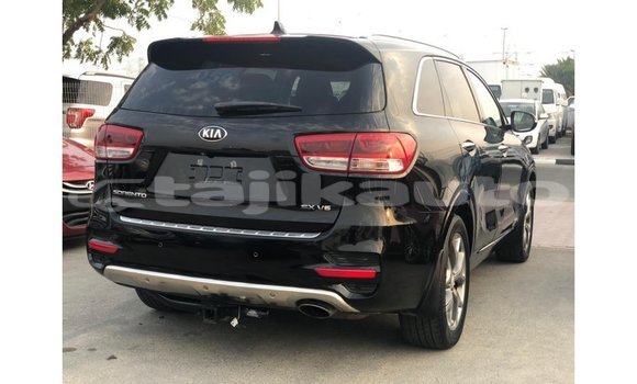 Buy Import Kia Sorento Black Car in Import - Dubai in Dushanbe Buy Import Kia Sorento Black Car in Import - Dubai in Dushanbe