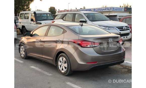 Buy Import Hyundai Elantra Brown Car in Import - Dubai in Dushanbe Buy Import Hyundai Elantra Brown Car in Import - Dubai in Dushanbe