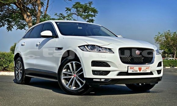 Buy Import Jaguar F-Pace White Car in Import - Dubai in Dushanbe