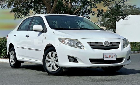 Buy Import Toyota Corolla White Car in Import - Dubai in Dushanbe
