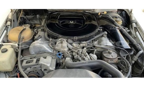 Buy Import Mercedes-Benz 190 White Car in Import - Dubai in Dushanbe Buy Import Mercedes-Benz 190 White Car in Import - Dubai in Dushanbe