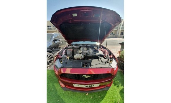 Buy Import Ford Mustang Red Car in Import - Dubai in Dushanbe Buy Import Ford Mustang Red Car in Import - Dubai in Dushanbe