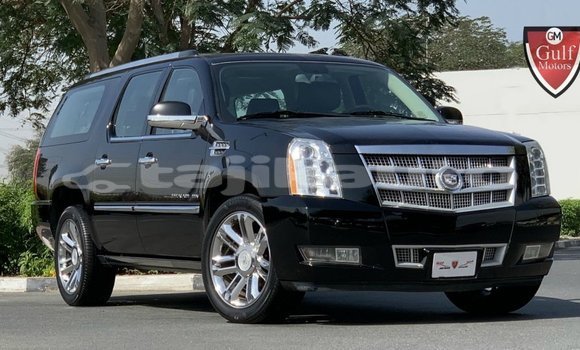 Buy Import Cadillac Escalade Black Car in Import - Dubai in Dushanbe