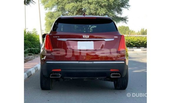 Buy Import Cadillac XT5 Red Car in Import - Dubai in Dushanbe Buy Import Cadillac XT5 Red Car in Import - Dubai in Dushanbe