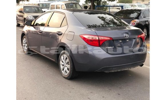 Buy Import Toyota Corolla Other Car in Import - Dubai in Dushanbe Buy Import Toyota Corolla Other Car in Import - Dubai in Dushanbe