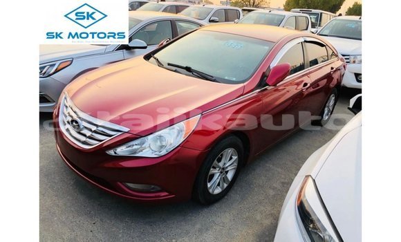 Buy Import Hyundai Sonata Red Car in Import - Dubai in Dushanbe