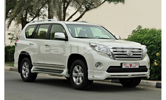Buy Import Toyota Prado White Car in Import - Dubai in Dushanbe