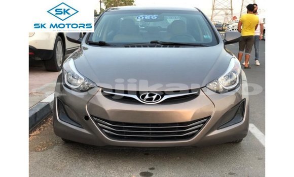 Buy Import Hyundai Elantra Brown Car in Import - Dubai in Dushanbe