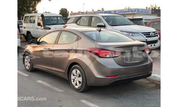 Buy Import Hyundai Elantra Brown Car in Import - Dubai in Dushanbe Buy Import Hyundai Elantra Brown Car in Import - Dubai in Dushanbe