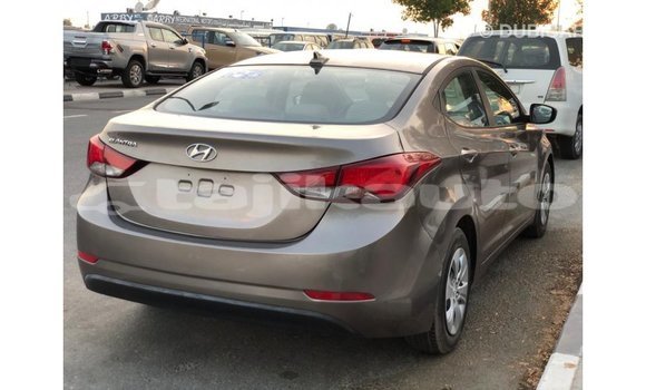 Buy Import Hyundai Elantra Brown Car in Import - Dubai in Dushanbe Buy Import Hyundai Elantra Brown Car in Import - Dubai in Dushanbe