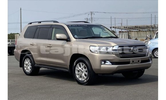 Buy Import Toyota Land Cruiser Other Car in Import - Dubai in Dushanbe