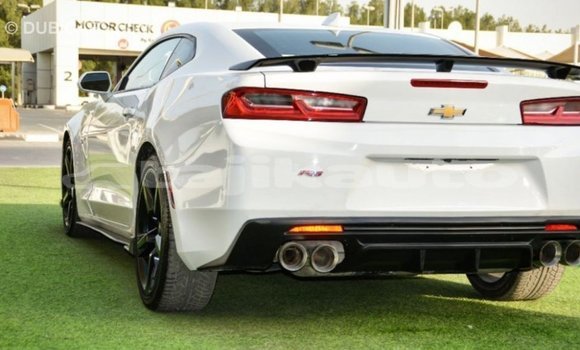 Buy Import Chevrolet Camaro White Car in Import - Dubai in Dushanbe Buy Import Chevrolet Camaro White Car in Import - Dubai in Dushanbe
