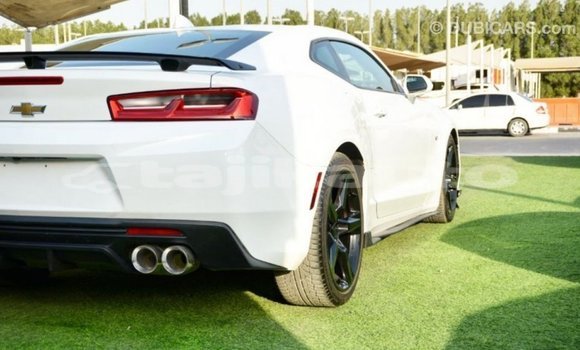 Buy Import Chevrolet Camaro White Car in Import - Dubai in Dushanbe Buy Import Chevrolet Camaro White Car in Import - Dubai in Dushanbe
