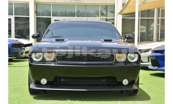Buy Import Dodge Challenger Black Car in Import - Dubai in Dushanbe