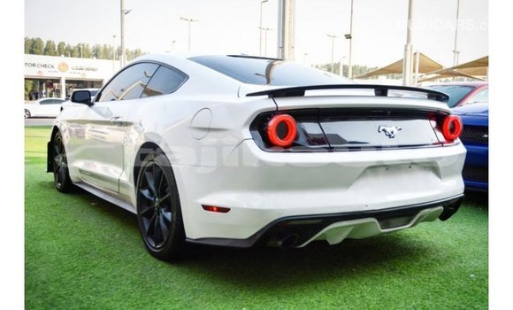 Buy Import Ford Mustang White Car in Import - Dubai in Dushanbe Buy Import Ford Mustang White Car in Import - Dubai in Dushanbe
