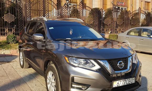 Buy Used Nissan Rogue Brown Car in Dushanbe in Dushanbe Buy Used Nissan Rogue Brown Car in Dushanbe in Dushanbe