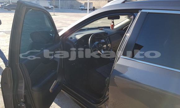 Buy Used Nissan Rogue Brown Car in Dushanbe in Dushanbe Buy Used Nissan Rogue Brown Car in Dushanbe in Dushanbe