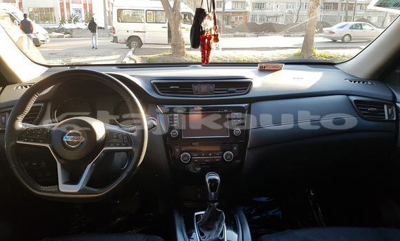 Buy Used Nissan Rogue Brown Car in Dushanbe in Dushanbe Buy Used Nissan Rogue Brown Car in Dushanbe in Dushanbe