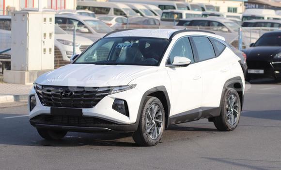 Buy New Hyundai Tucson White Car in Import - Dubai in Dushanbe Buy New Hyundai Tucson White Car in Import - Dubai in Dushanbe